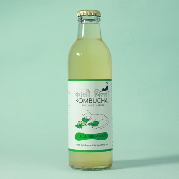 Cucumber Mint