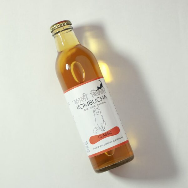 Classic Kombucha - Image 4