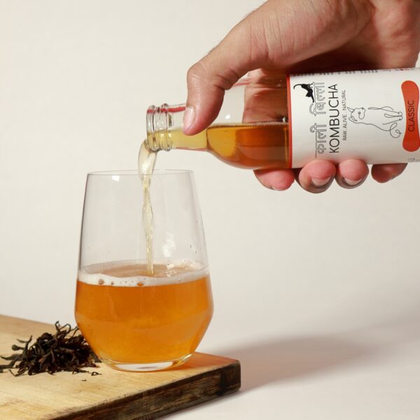 Classic Kombucha - Image 3