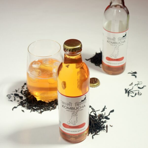 Classic Kombucha - Image 2
